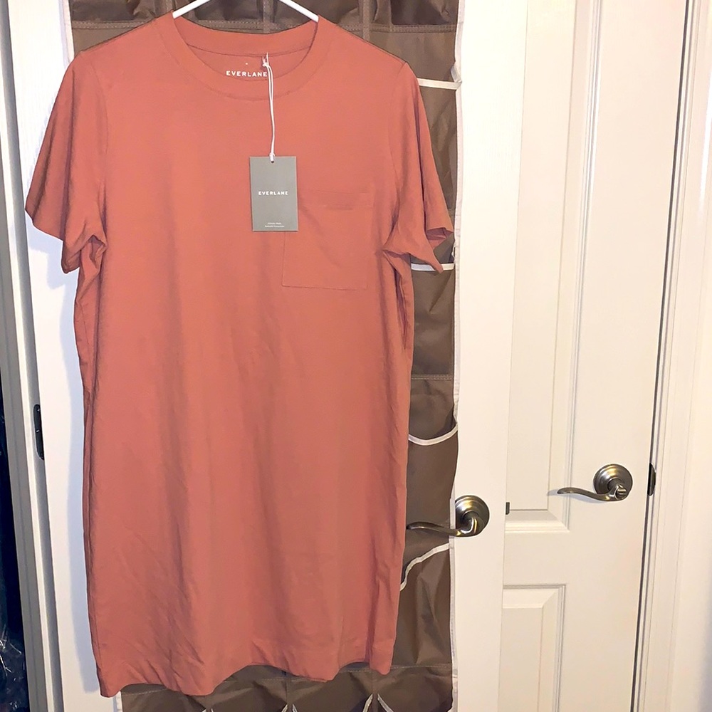 Everlane Weekend Tee Dress in Cameo Pink